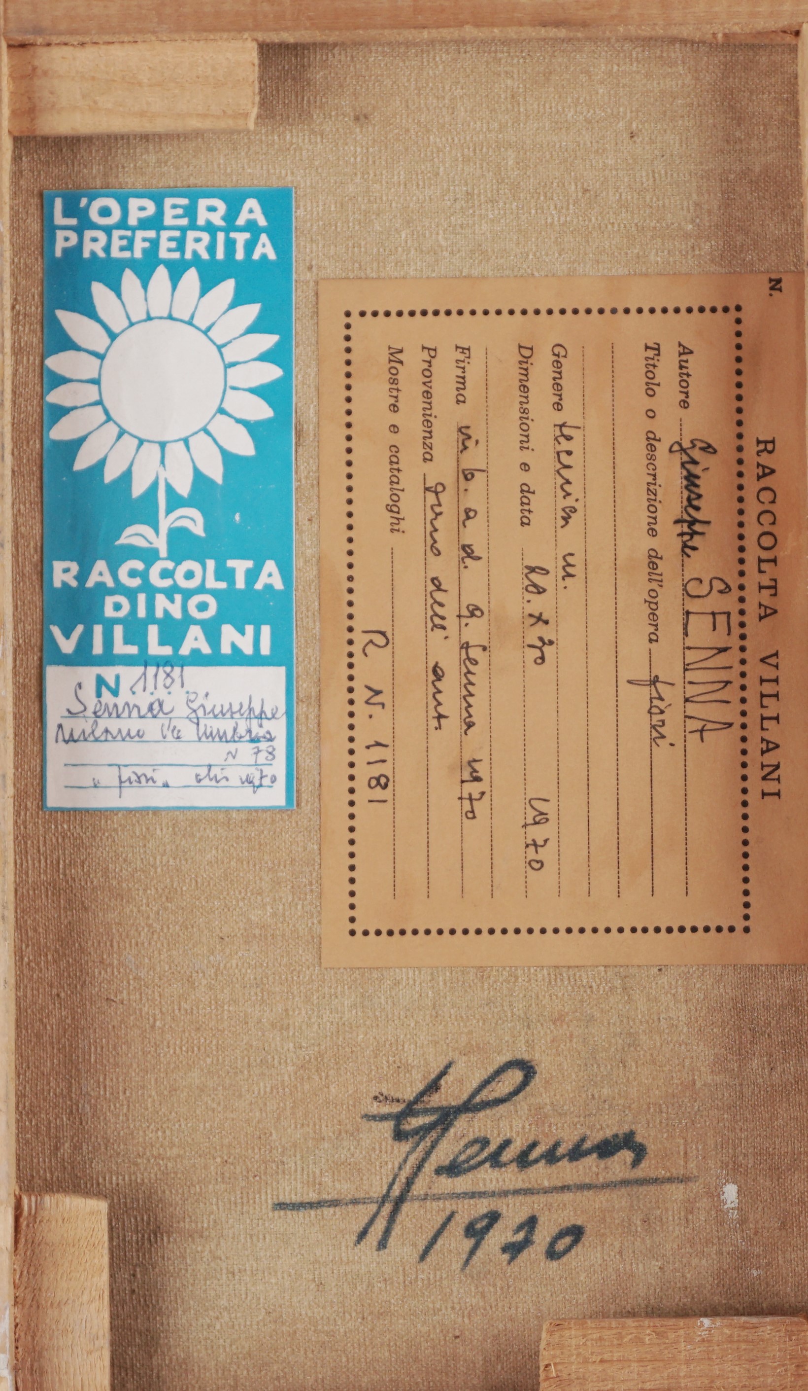 Giuseppe Senna - Fiori