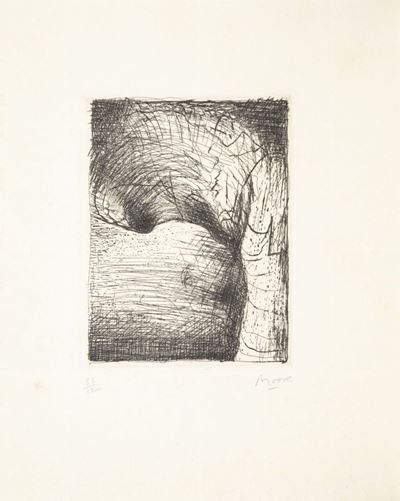 Elephant Skull