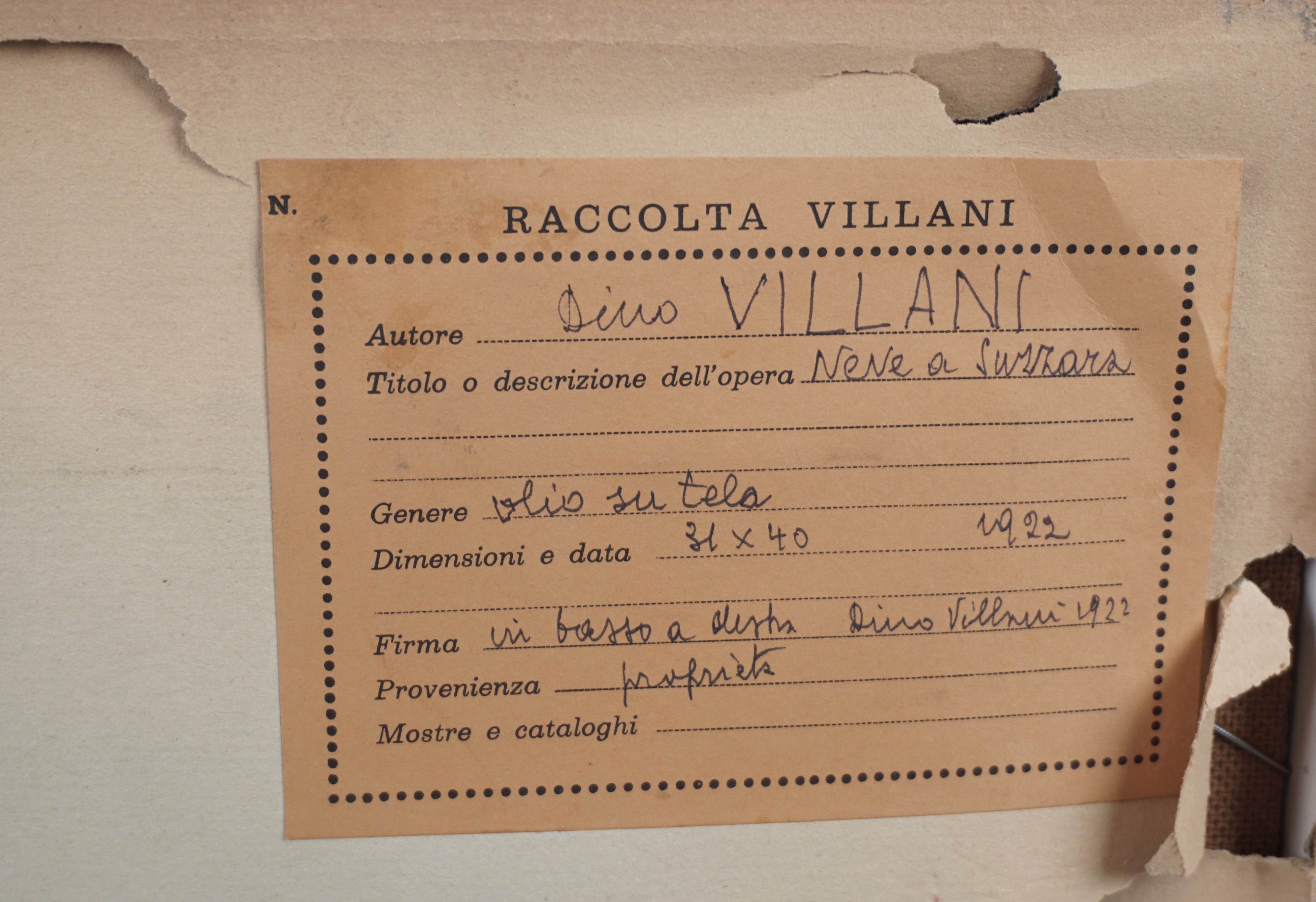 Dino Villani - Neve a Suzzara