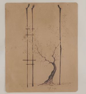 Tree trunk