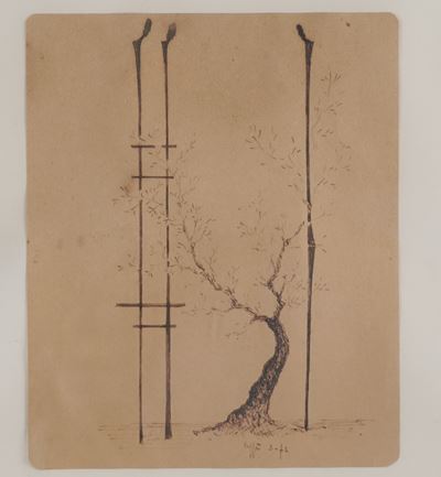 Tronco d’albero