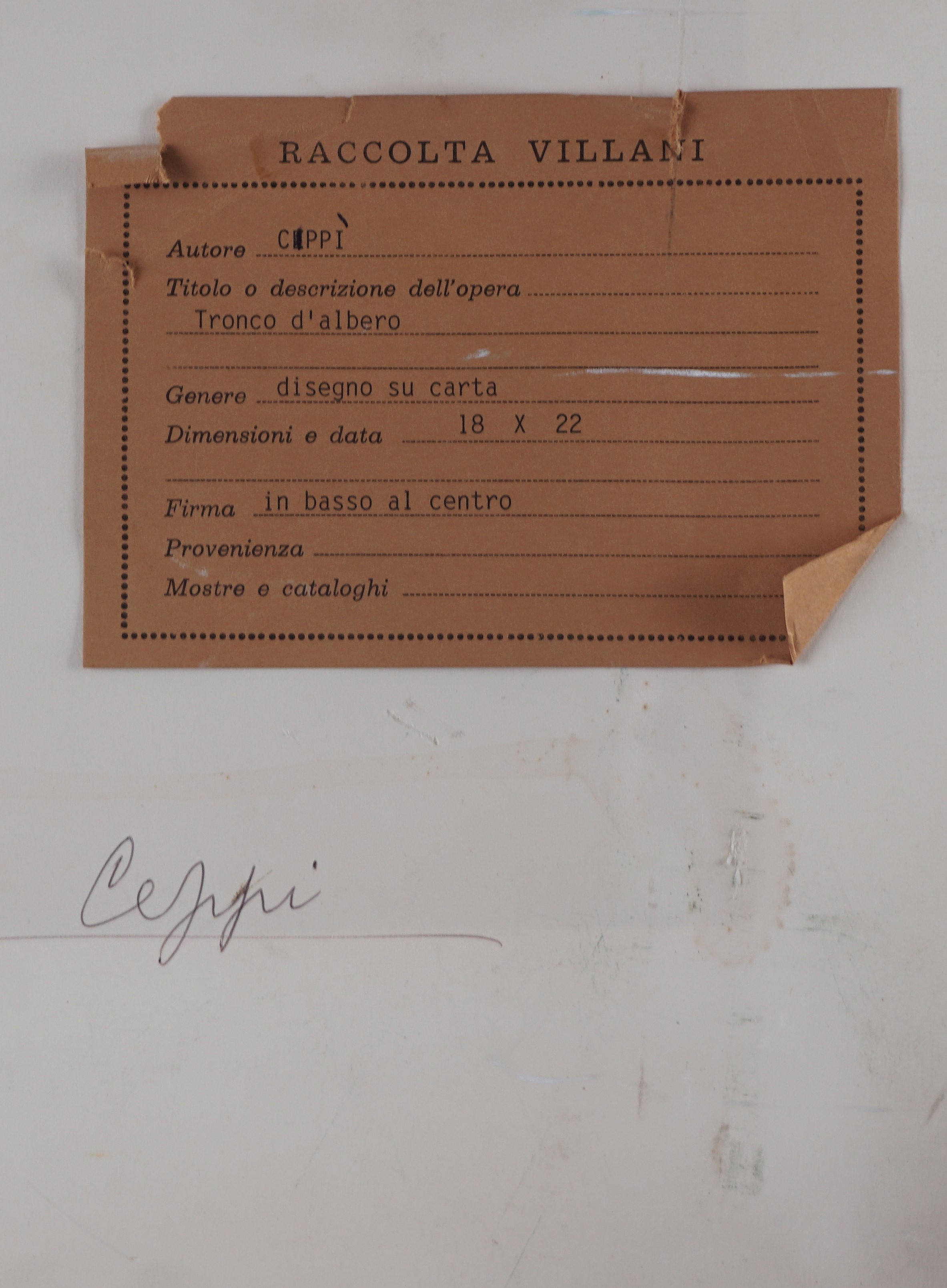Cornelia "cipi" Polli Ferrari - Tronco d’albero