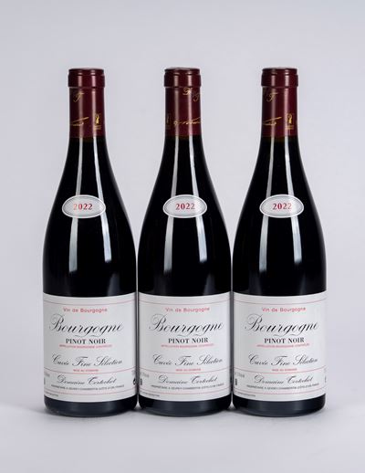Bourgogne Pinot Noir, Cuvée Fine Selection, Domaine Tortochot, 2022 (3 bottiglie)
