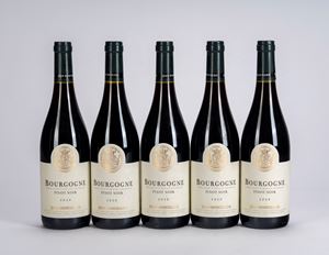 Bourgogne Pinot Noir Jean Bouchard, 2020 (5 BT)