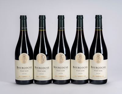 Jean Bouchard, Bourgogne Pinot Noir 2020 (5 bottiglie)