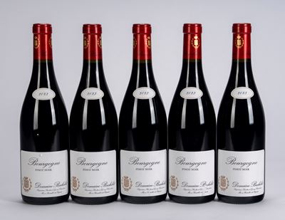 Bourgogne Pinot Noir Domaine Bachelet, annata 2023, 5 bottiglie