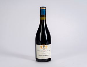 Thibault Liger-Belair Gevrey-Chambertin, 2022 (1 BT)