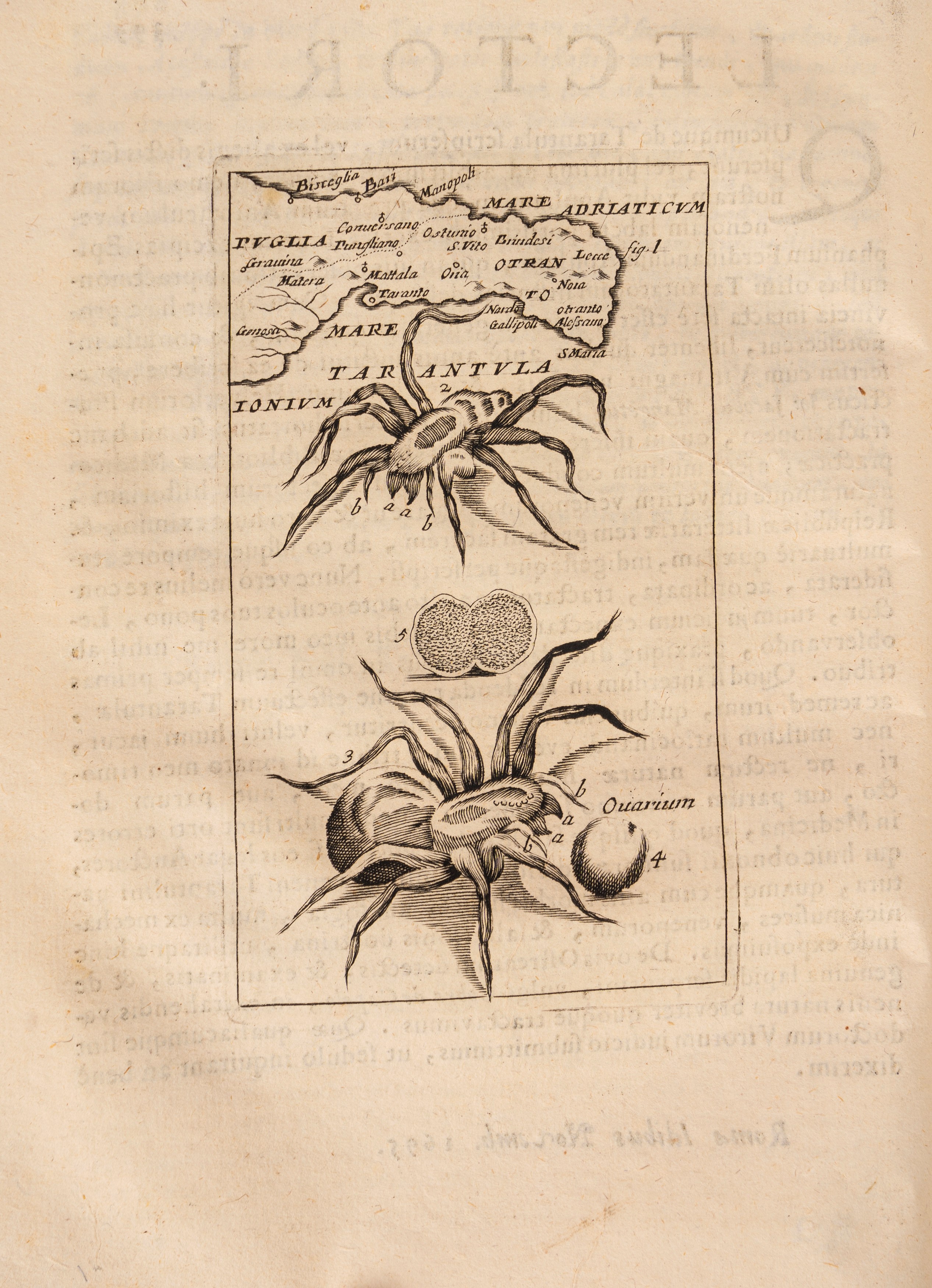 Giorgio Baglivi - Opera Omnia medico-pratica et anatomica, Venezia 1716