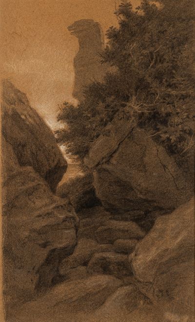 Nel bosco