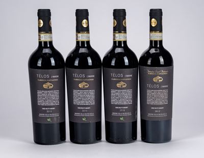 Amarone Telos Tenuta Castagnedi (4 bottiglie)