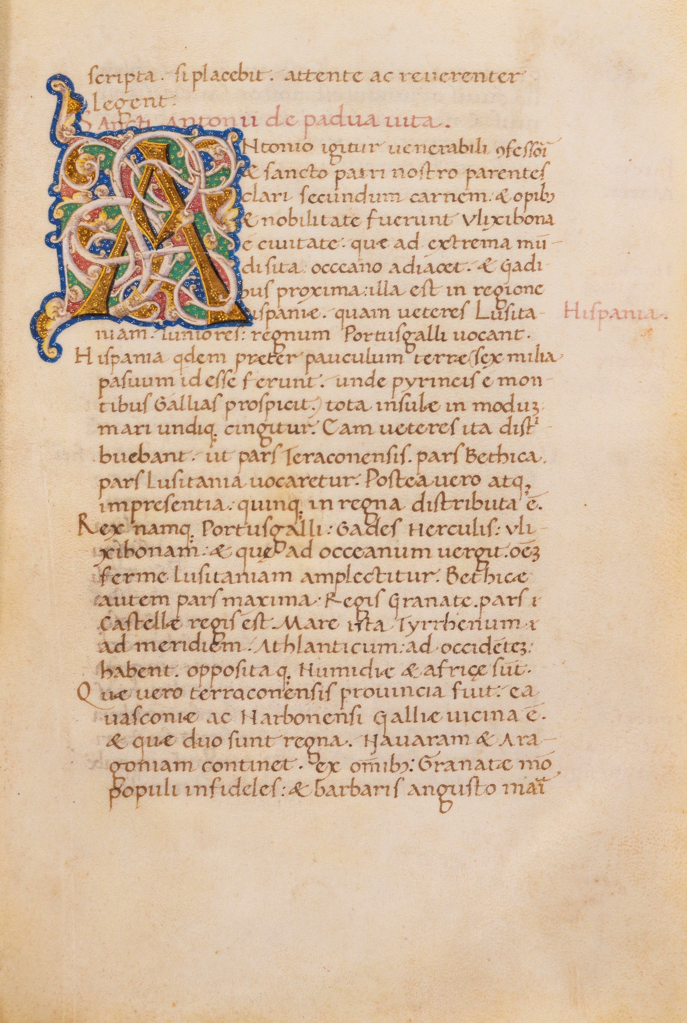 Sicconis Polentoni prefatio ad Modestum filium in Sancti Antonii confessoris de Padua vitam incip...