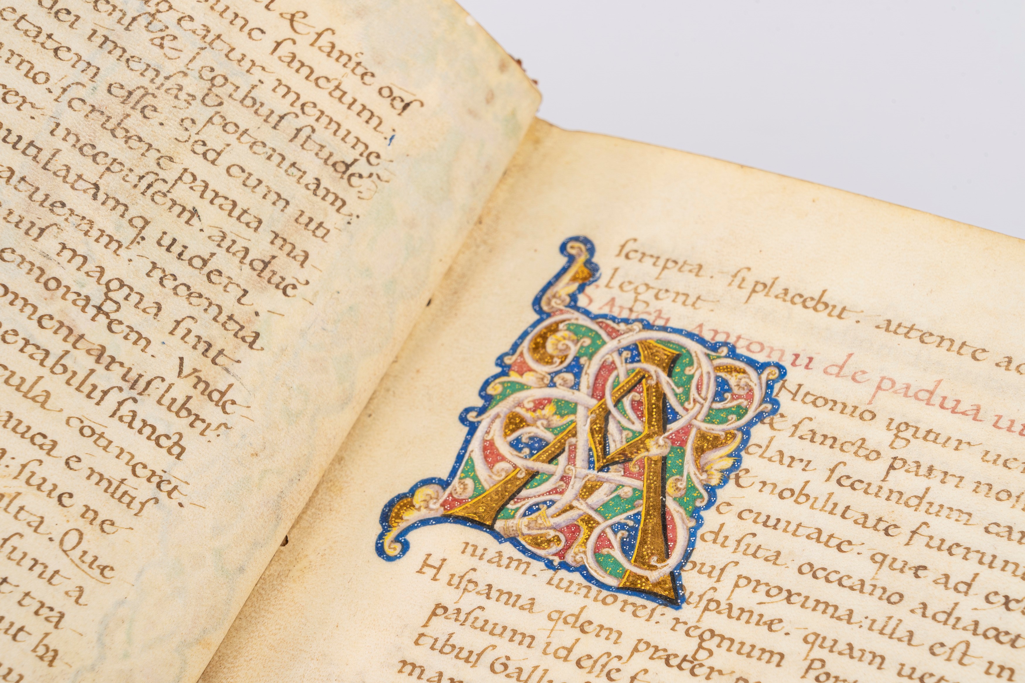 Sicconis Polentoni prefatio ad Modestum filium in Sancti Antonii confessoris de Padua vitam incip...