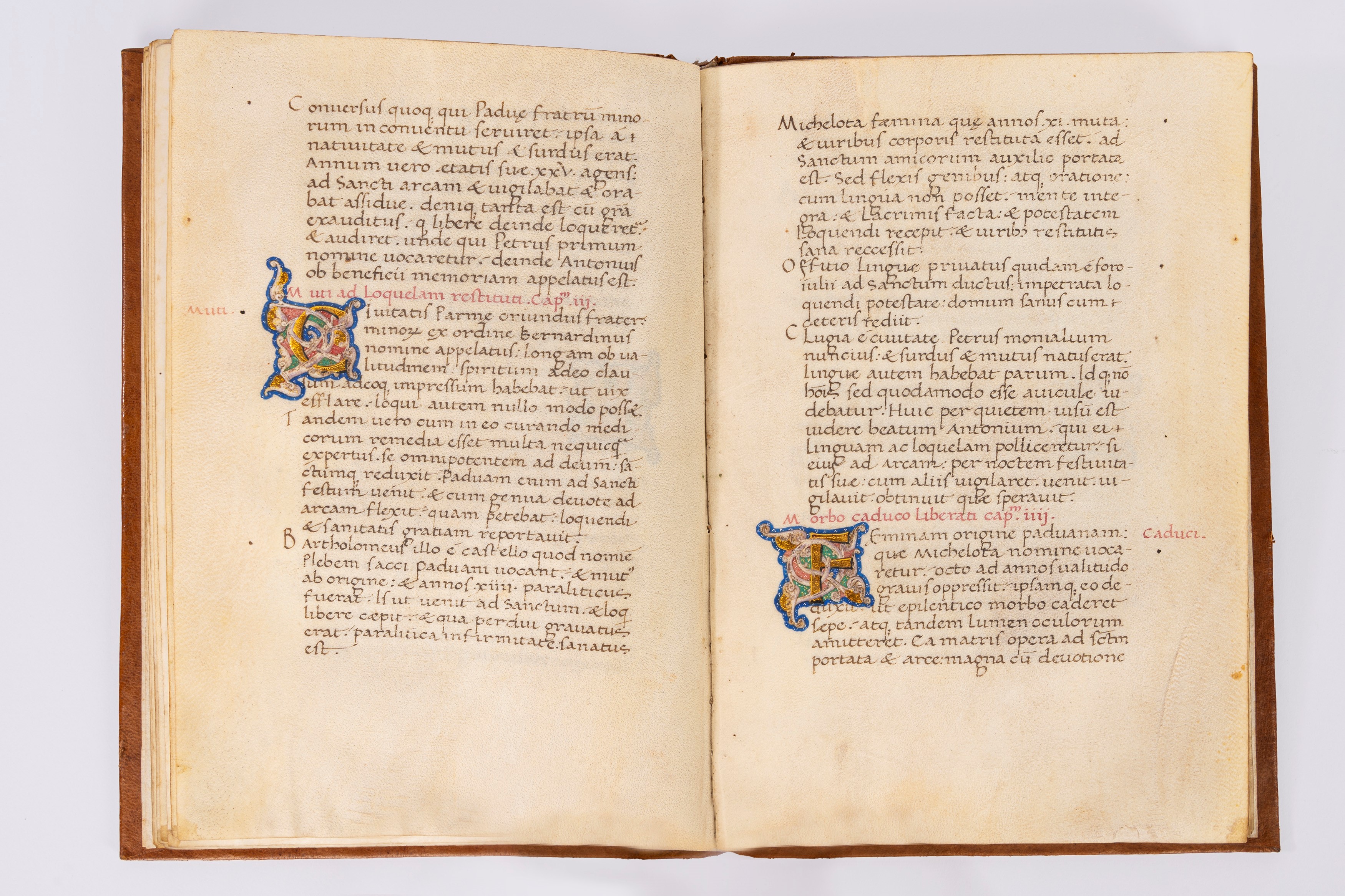 Sicconis Polentoni prefatio ad Modestum filium in Sancti Antonii confessoris de Padua vitam incip...