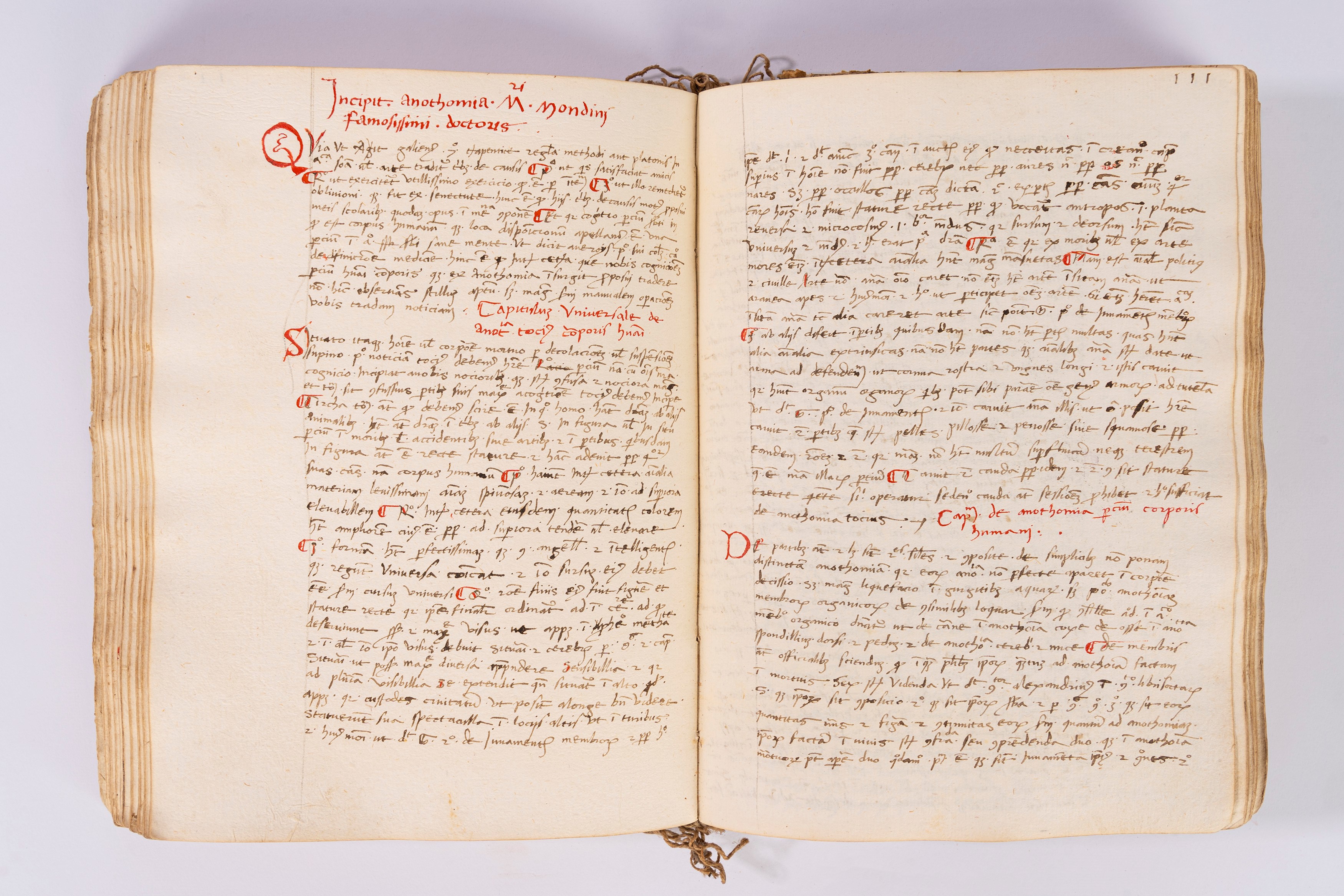 Leonardus de Berta Palia praticha [Chirurgia]