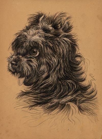 A Giovanni Verga