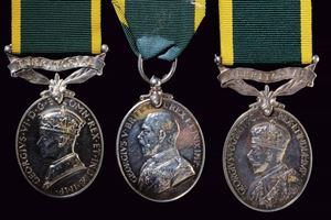 Territorial Efficiency Medal