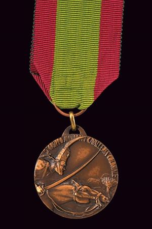 Medaglia Campagna d'Africa