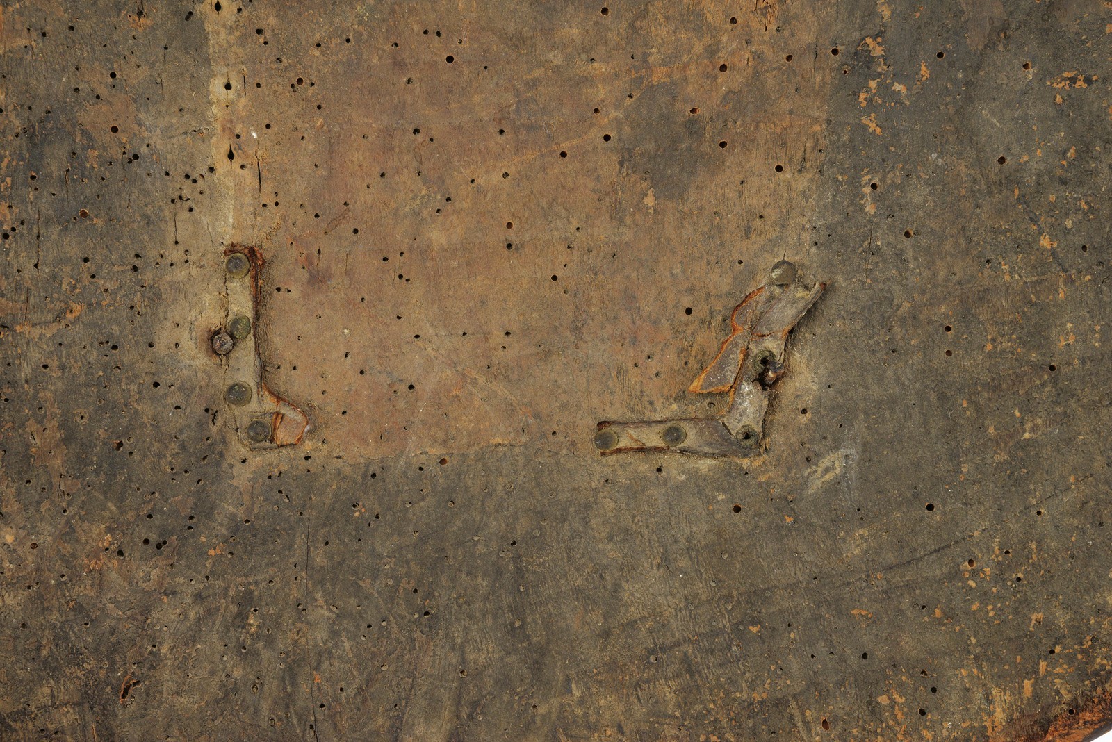 Scudo da parata, pergamena dipinta e stemma, legno (Spagna, XVI secolo circa)