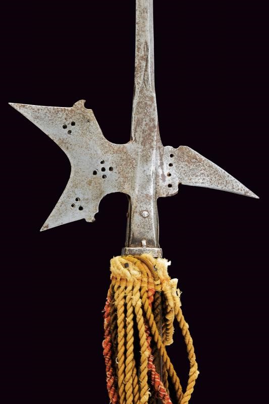 Arma bianca d’età moderna, Alabarda in ferro (circa XVI secolo), asta con gobbe a becchetto
