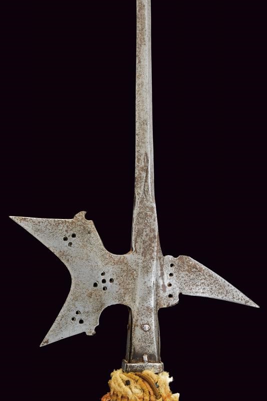 Arma bianca d’età moderna, Alabarda in ferro (circa XVI secolo), asta con gobbe a becchetto