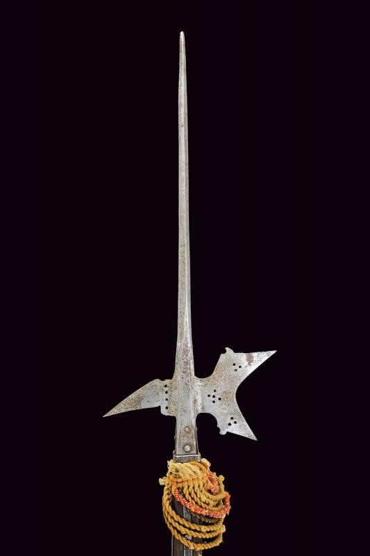 Arma bianca d’età moderna, Alabarda in ferro (circa XVI secolo), asta con gobbe a becchetto
