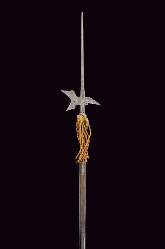 Arma bianca d’età moderna, Alabarda in ferro (circa XVI secolo), asta con gobbe a becchetto