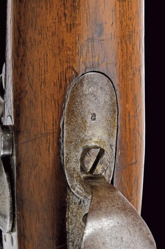 Francotte (attrib.), Carabina a luminello Minie-Petrovic-Francotte con baionetta, Principato di S...