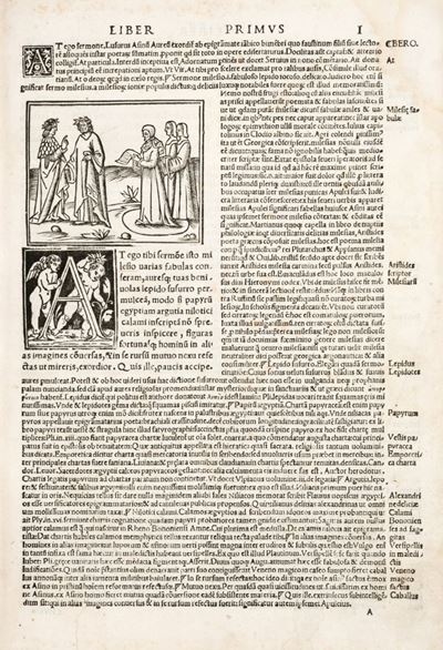 Apuleius Cum Commento Beroaldi: & Figuris Nouiter Additis
