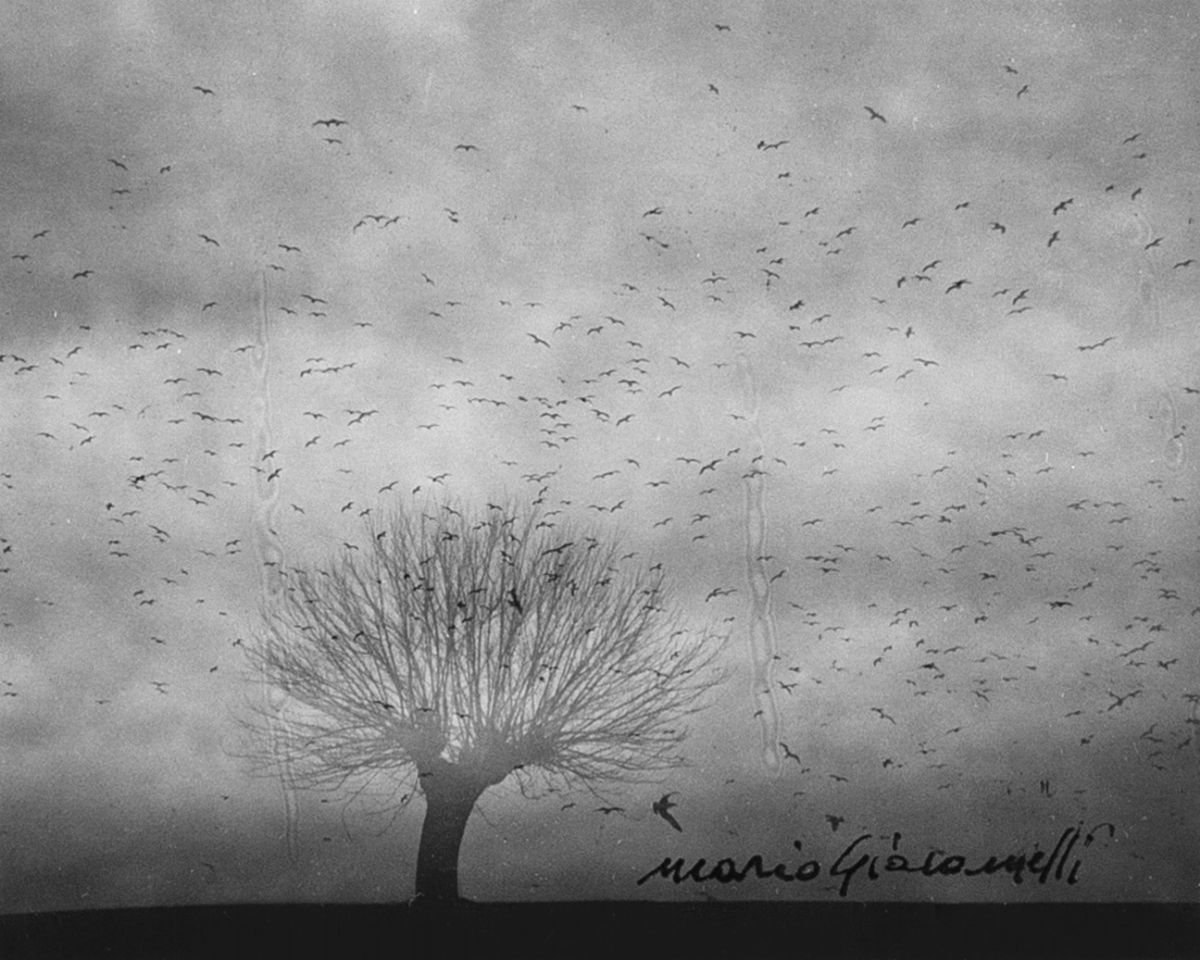 Mario Giacomelli Foto in Bianco e Nero C