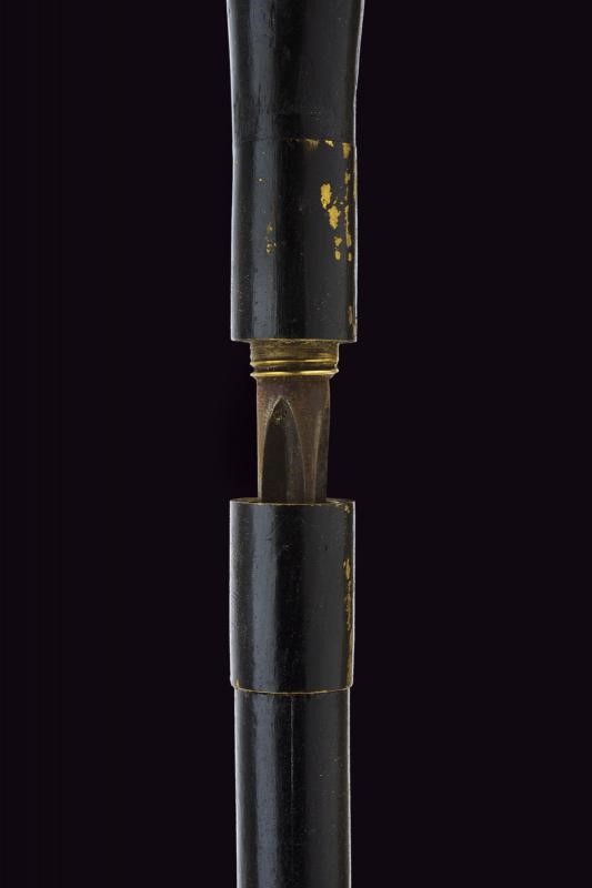 Impugnatura a teschio, Bastone animato (arma da collezione), Francia, 1900 circa