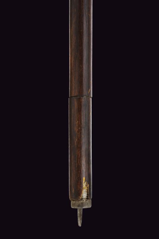 Francia, Bastone animato con lama a scatto, 1900 circa