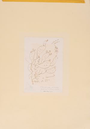 Disegno di un Cactus con dedica a Sciascia
