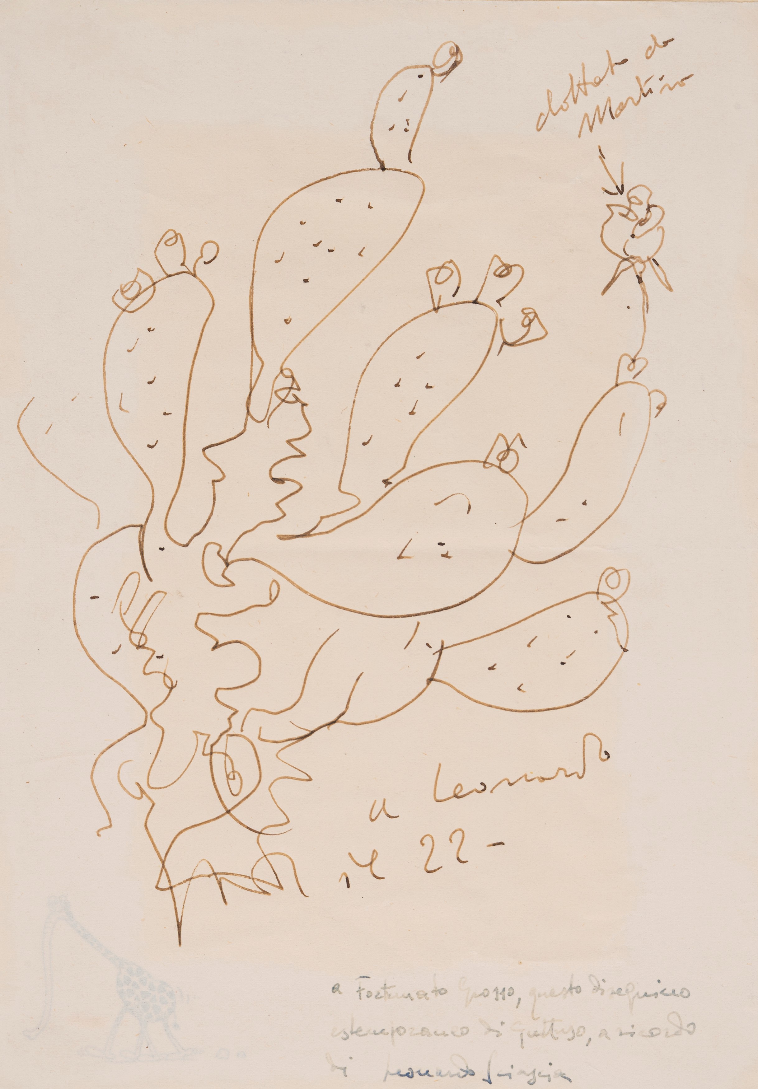 Disegno di un Cactus con dedica a Sciascia