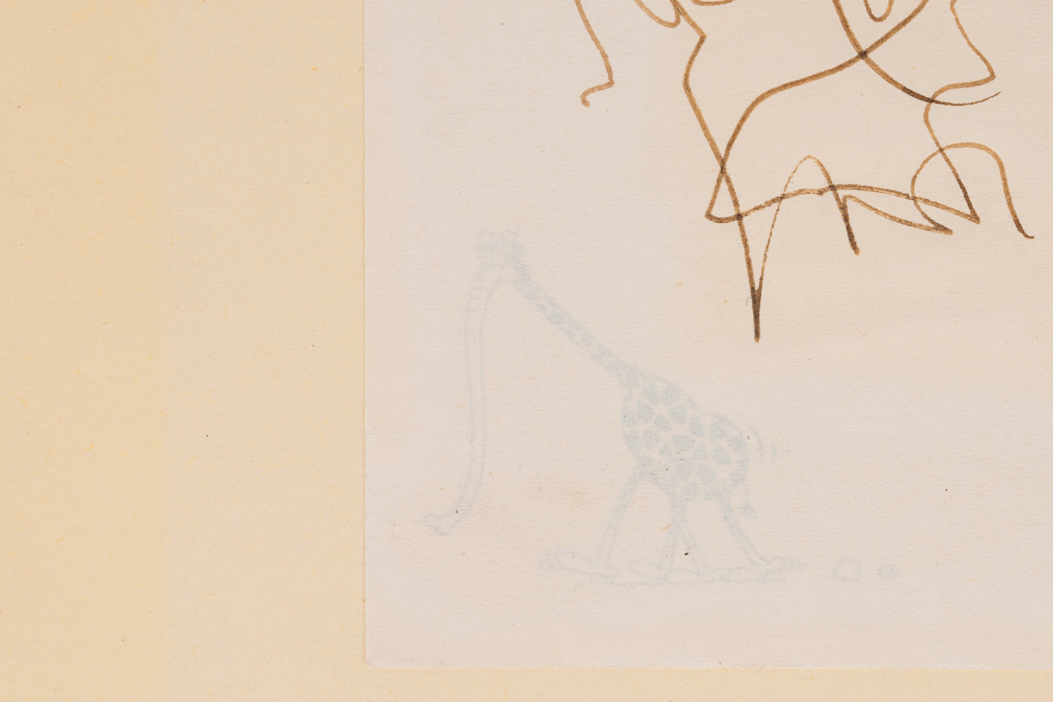 Disegno di un Cactus con dedica a Sciascia