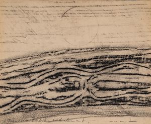 Paysage pour Histoire Naturelle