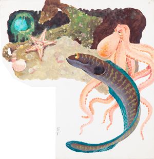 Ondina, stella marina