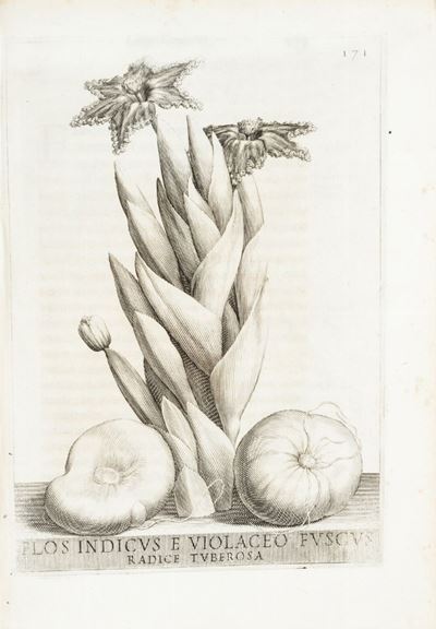 De Florum Cultura Libri IV