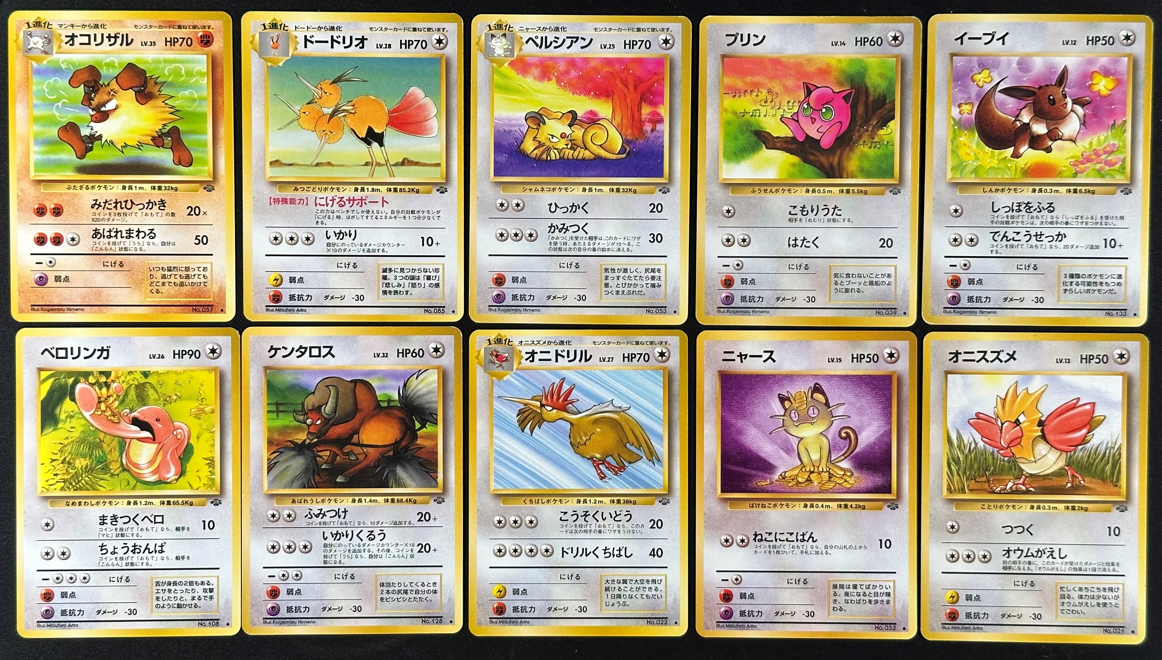 Pokémon - Set base Jungle, Estensione Fascicolo 2 (Pokemon), carte collezionabili, 48 pezzi