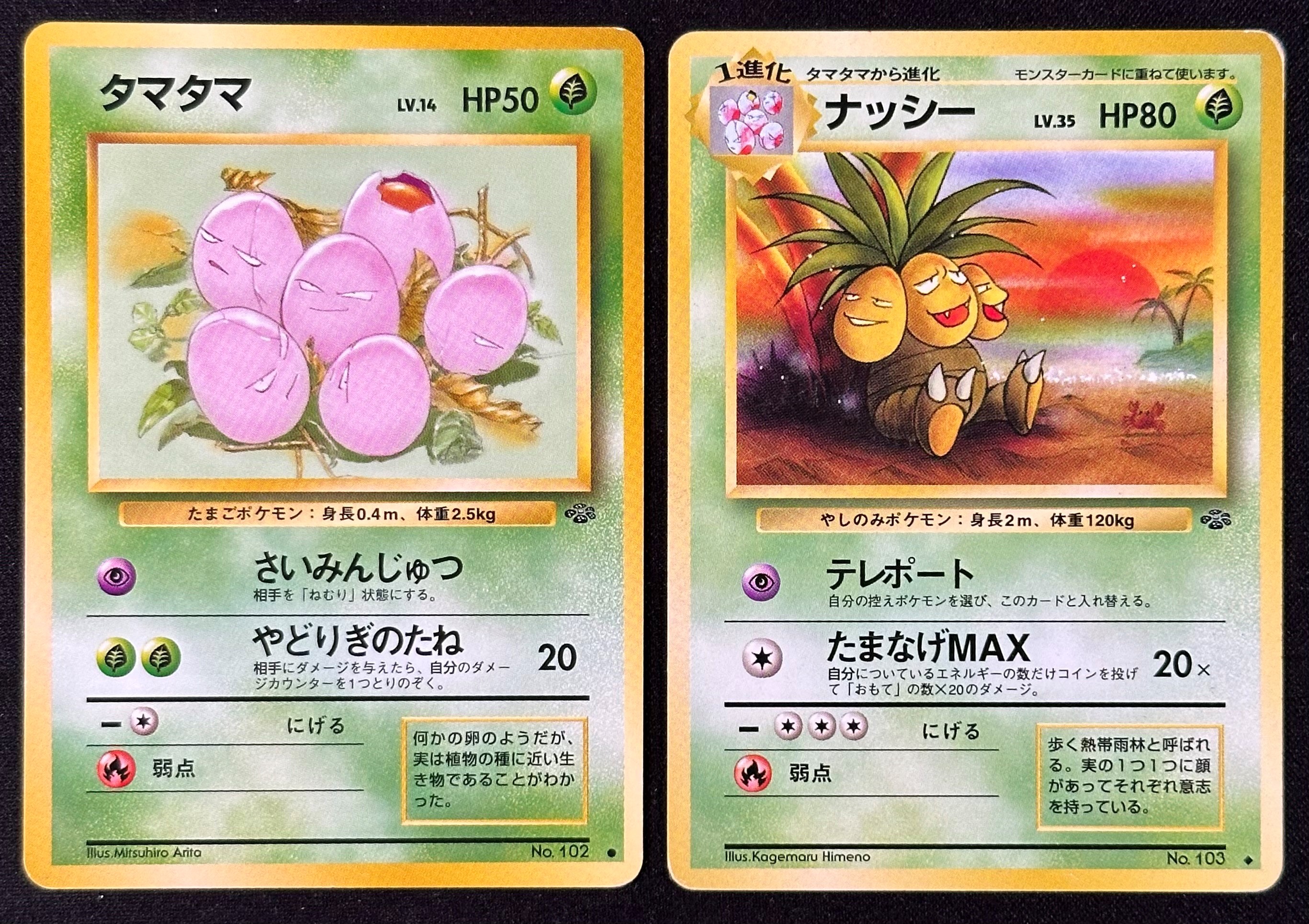 Pokémon - Set base Jungle, Estensione Fascicolo 2 (Pokemon), carte collezionabili, 48 pezzi