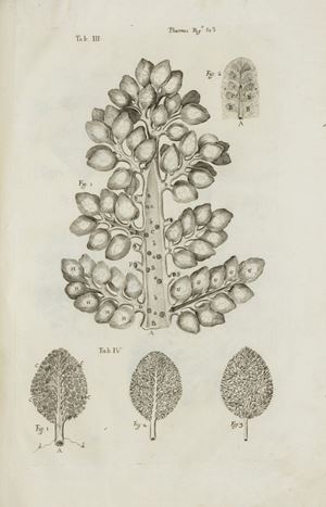 Opera omnia. Studio & opera Gerardi Blasii