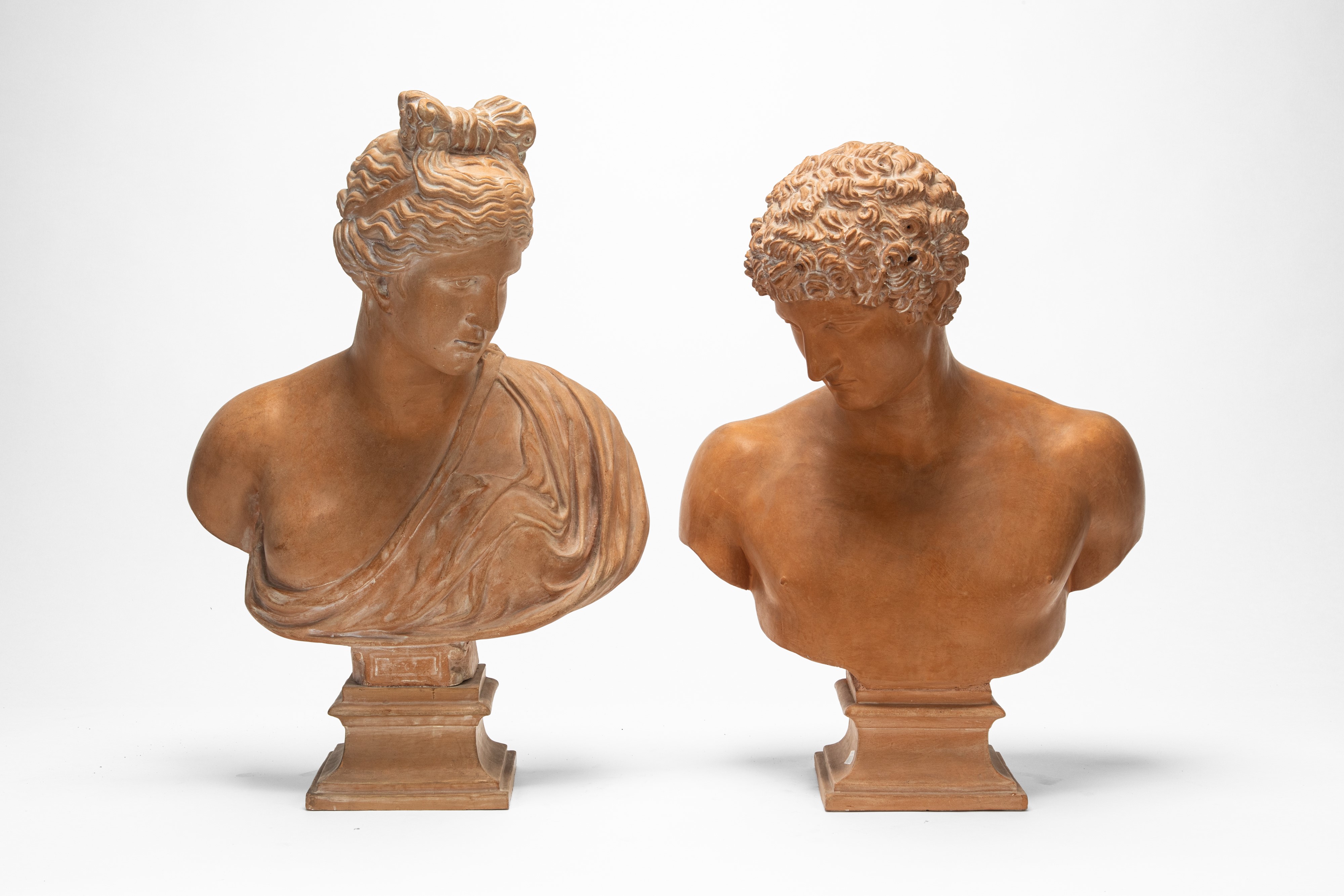 Due busti raffiguranti Antinoo e Venere, terracotta patinata