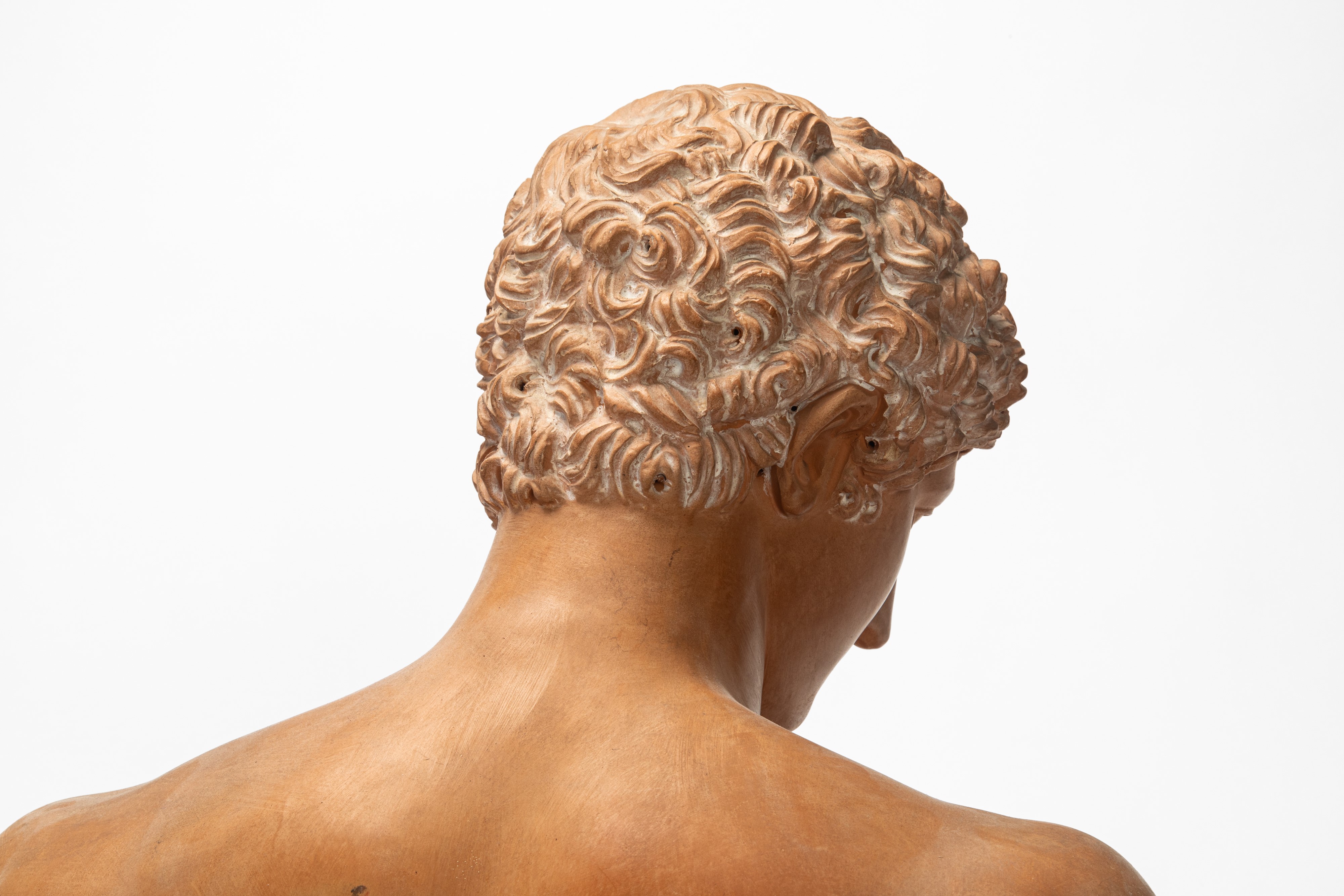 Due busti raffiguranti Antinoo e Venere, terracotta patinata