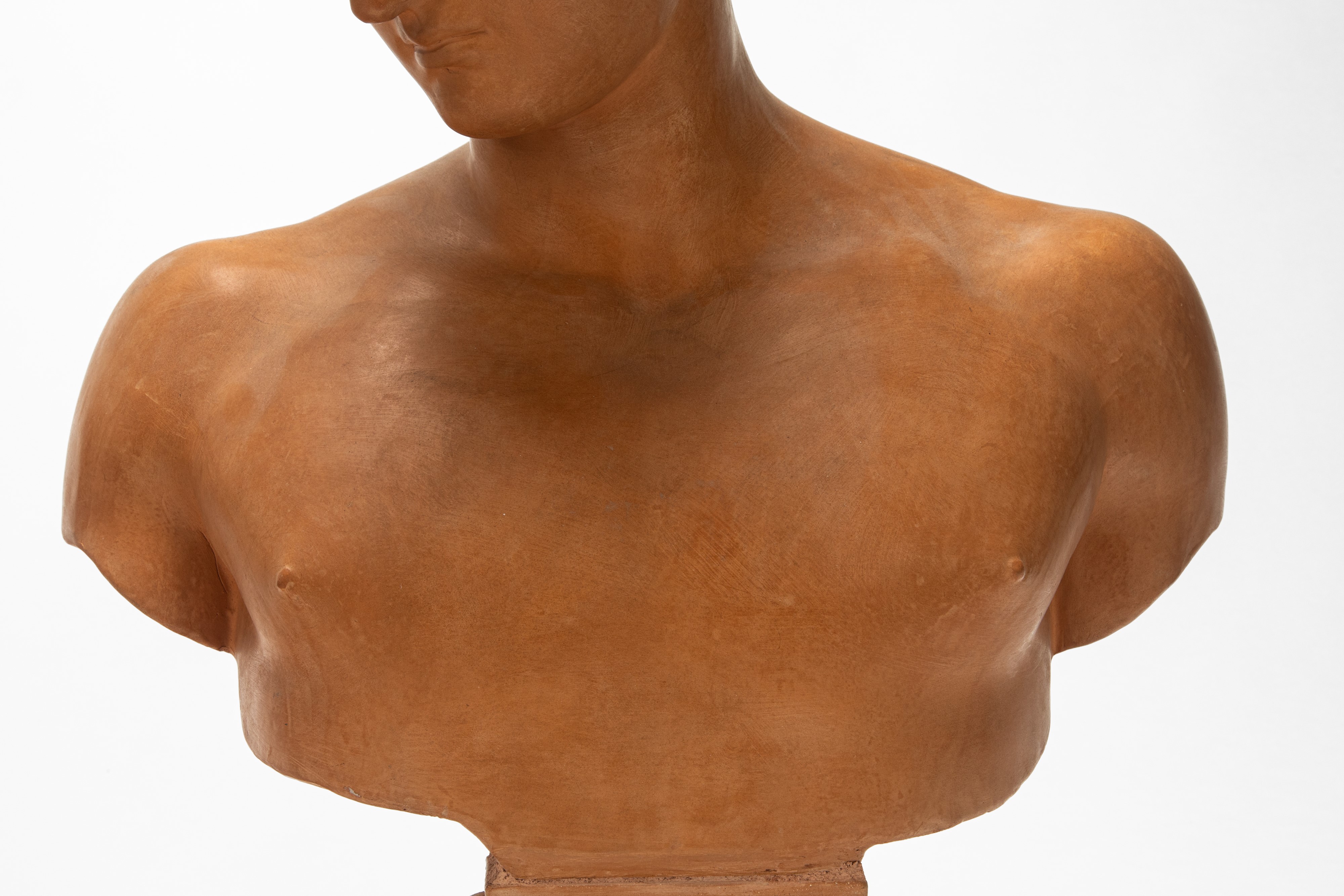 Due busti raffiguranti Antinoo e Venere, terracotta patinata
