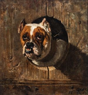 Mastino da guardia
