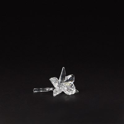 Orchidea in cristallo Swarovski della serie Exquisite Accents (n. 200280)