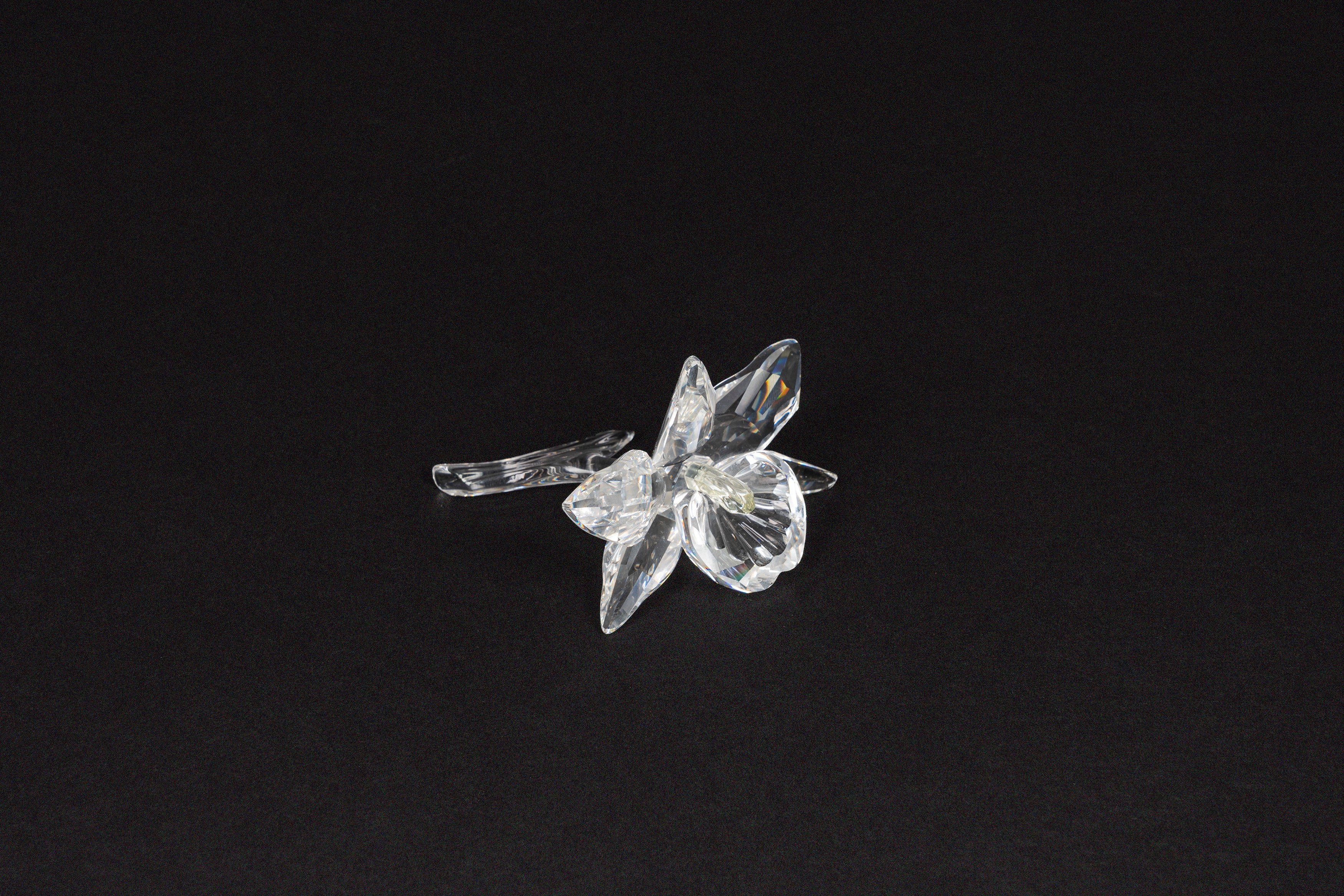 Orchidea in cristallo Swarovski della serie Exquisite Accents (n. 200280)