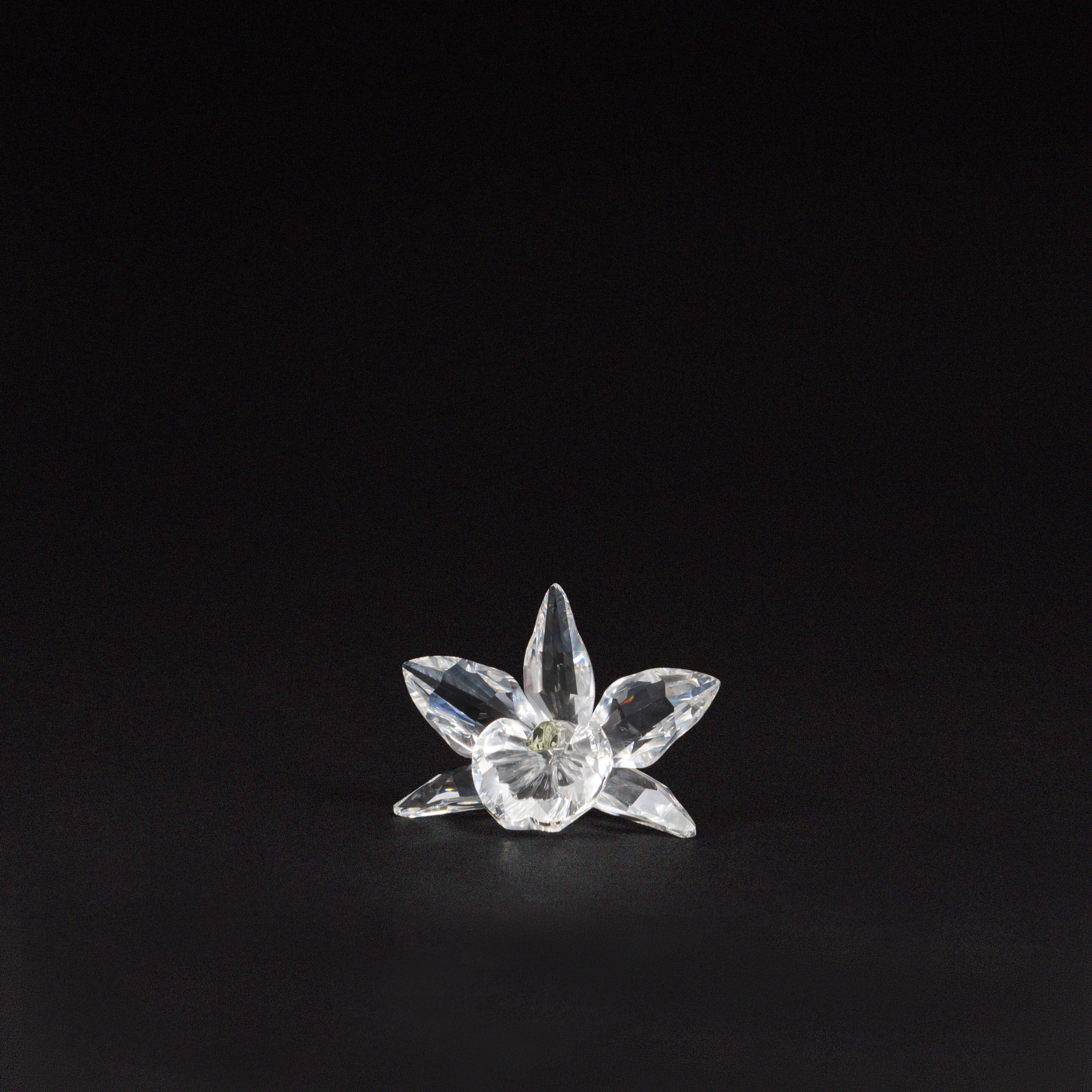 Orchidea in cristallo Swarovski della serie Exquisite Accents (n. 200280)