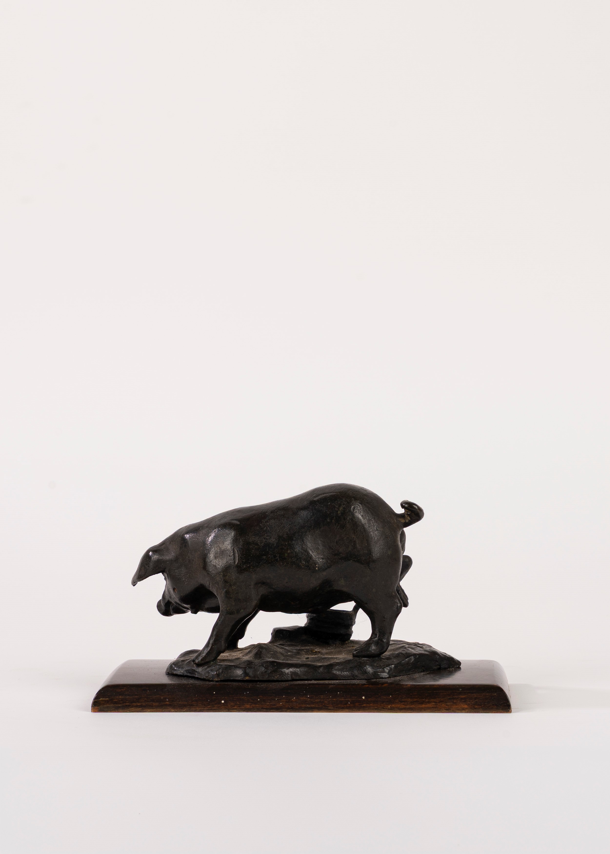 Porcellino, bronzo su base in legno