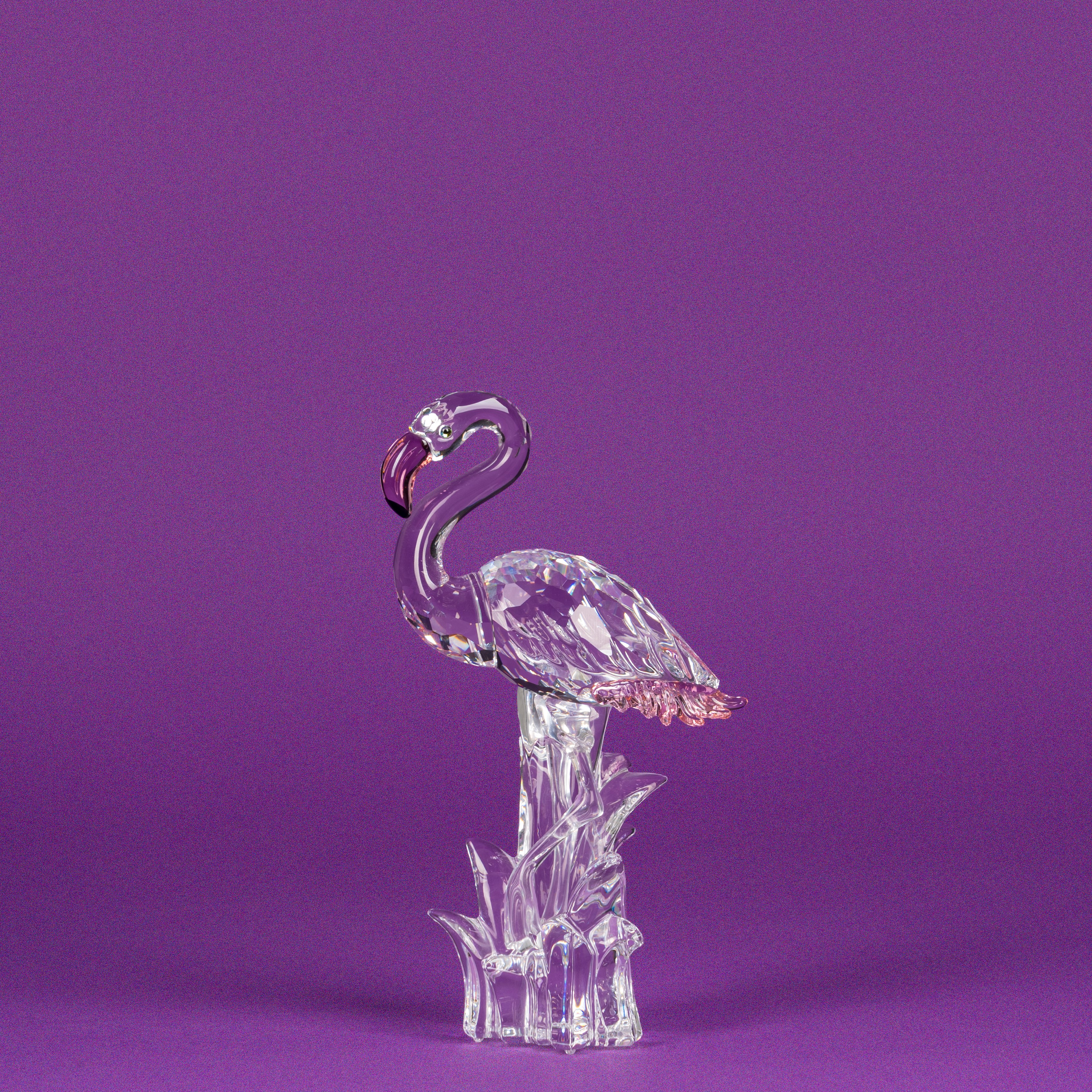 Swarovski - Fenicottero in cristallo della serie «Feathered Beauties»