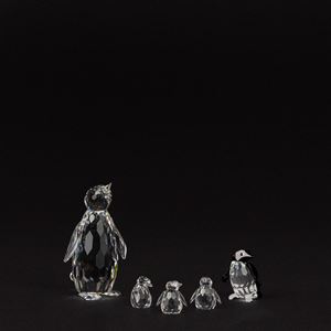 Famiglia di pinguini